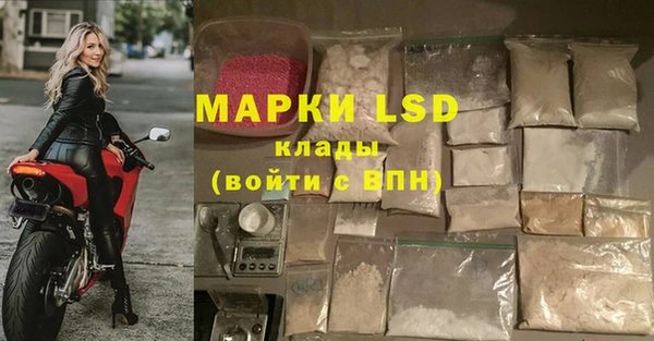 сатива Белоозёрский