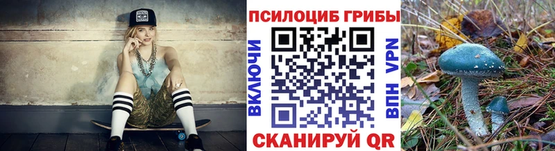 Псилоцибиновые грибы прущие грибы  купить  цена  Никольск 